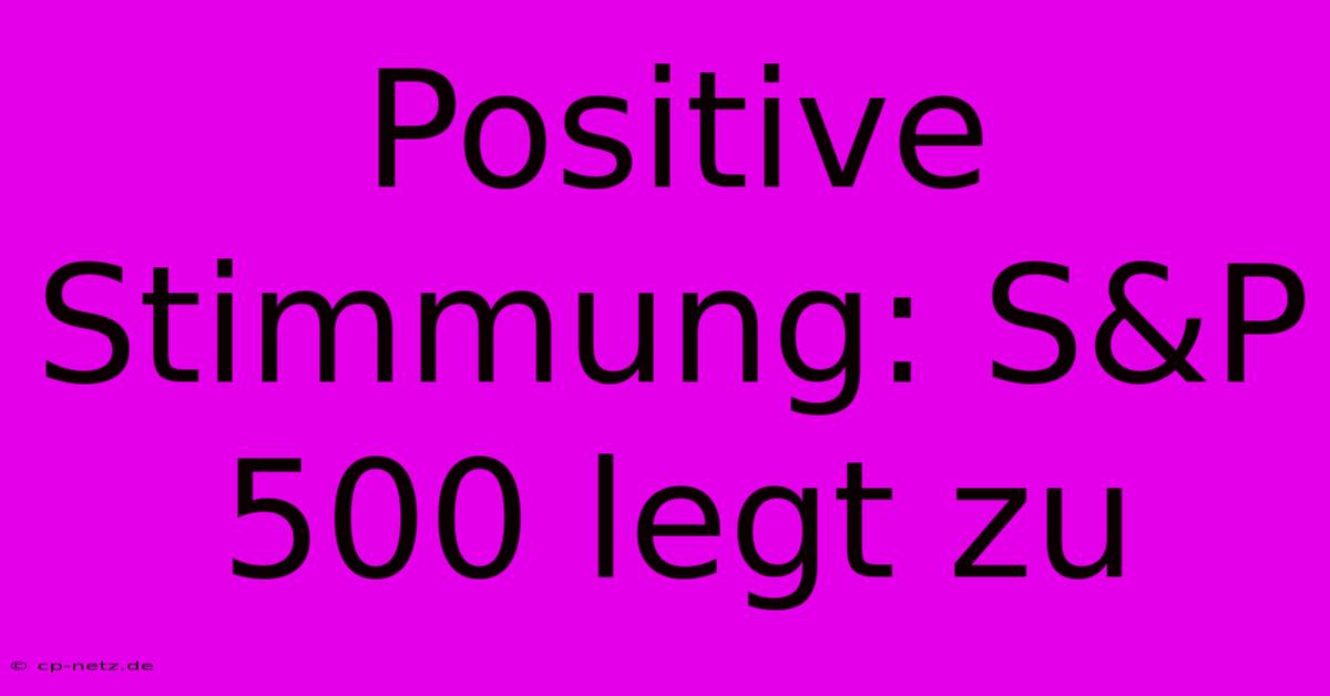 Positive Stimmung: S&P 500 Legt Zu