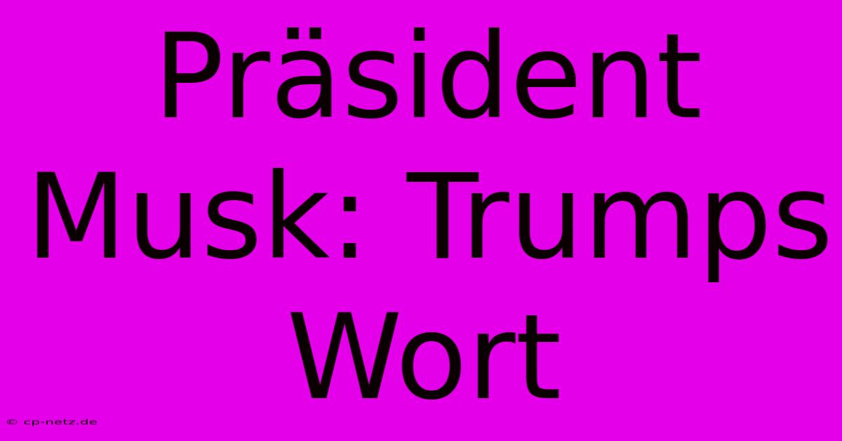 Präsident Musk: Trumps Wort