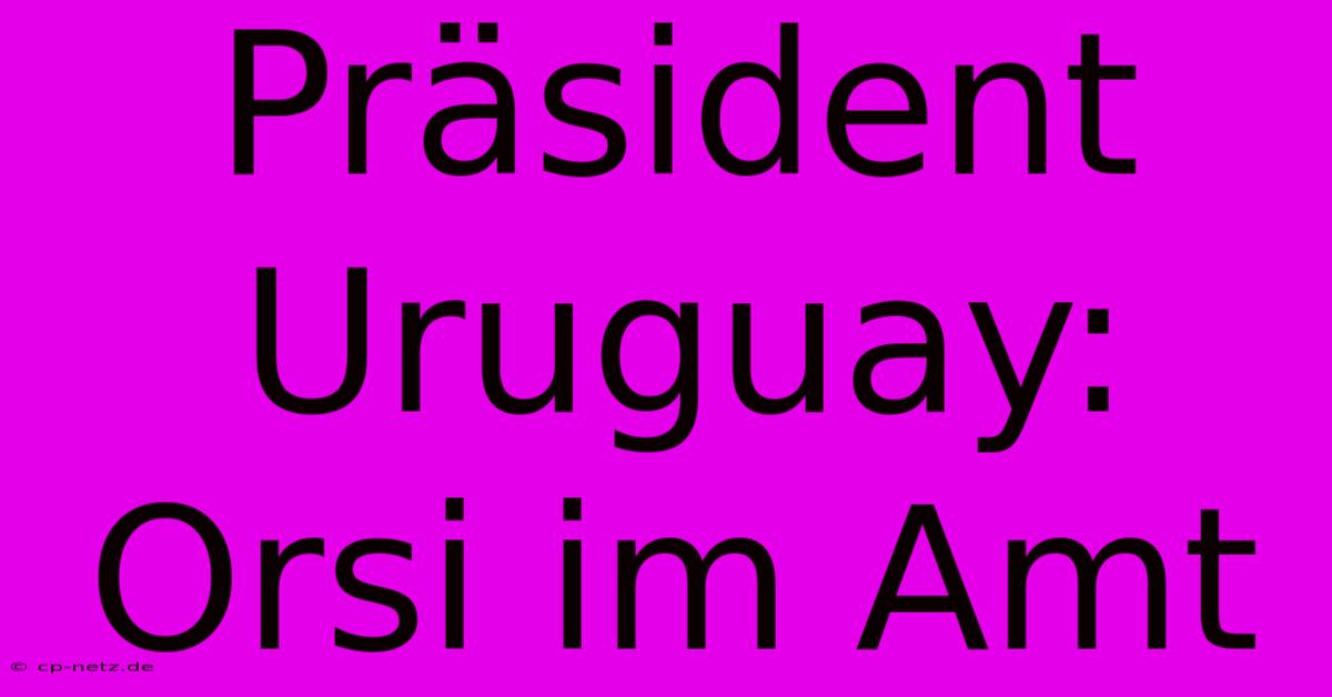 Präsident Uruguay: Orsi Im Amt