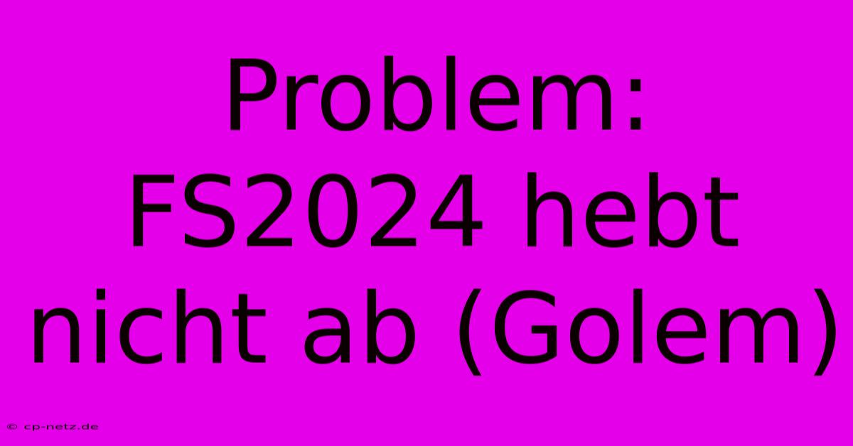 Problem: FS2024 Hebt Nicht Ab (Golem)