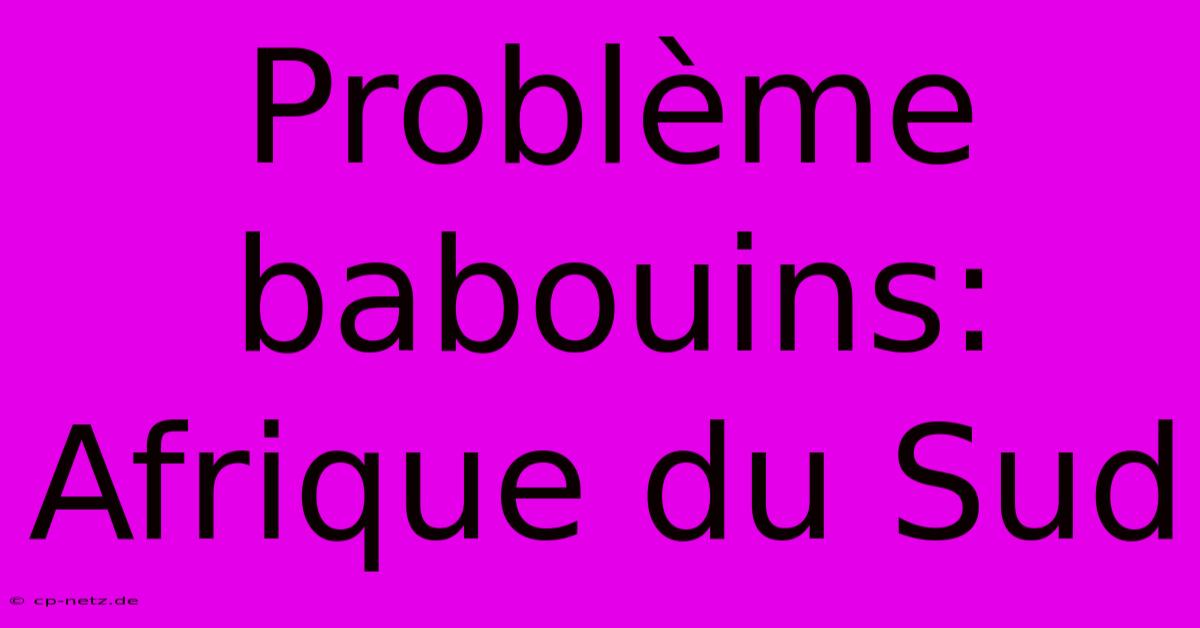 Problème Babouins: Afrique Du Sud