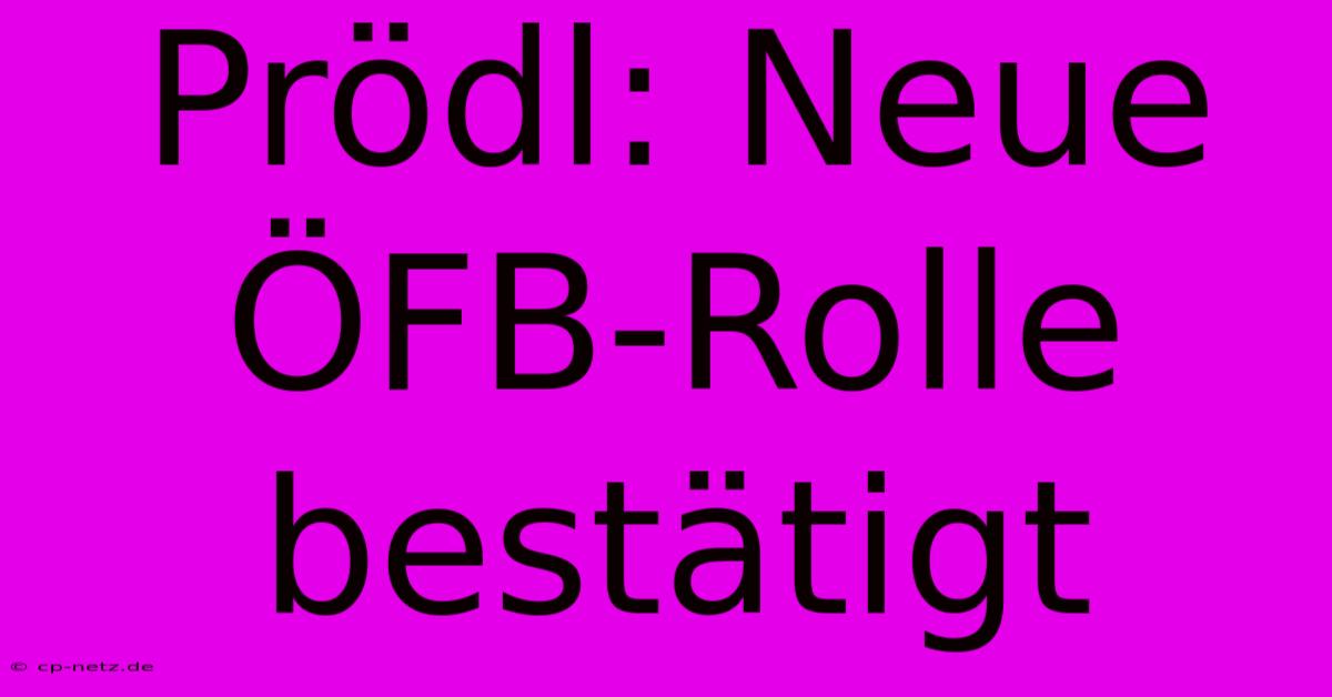 Prödl: Neue ÖFB-Rolle Bestätigt