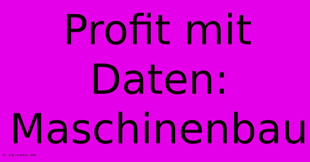 Profit Mit Daten: Maschinenbau