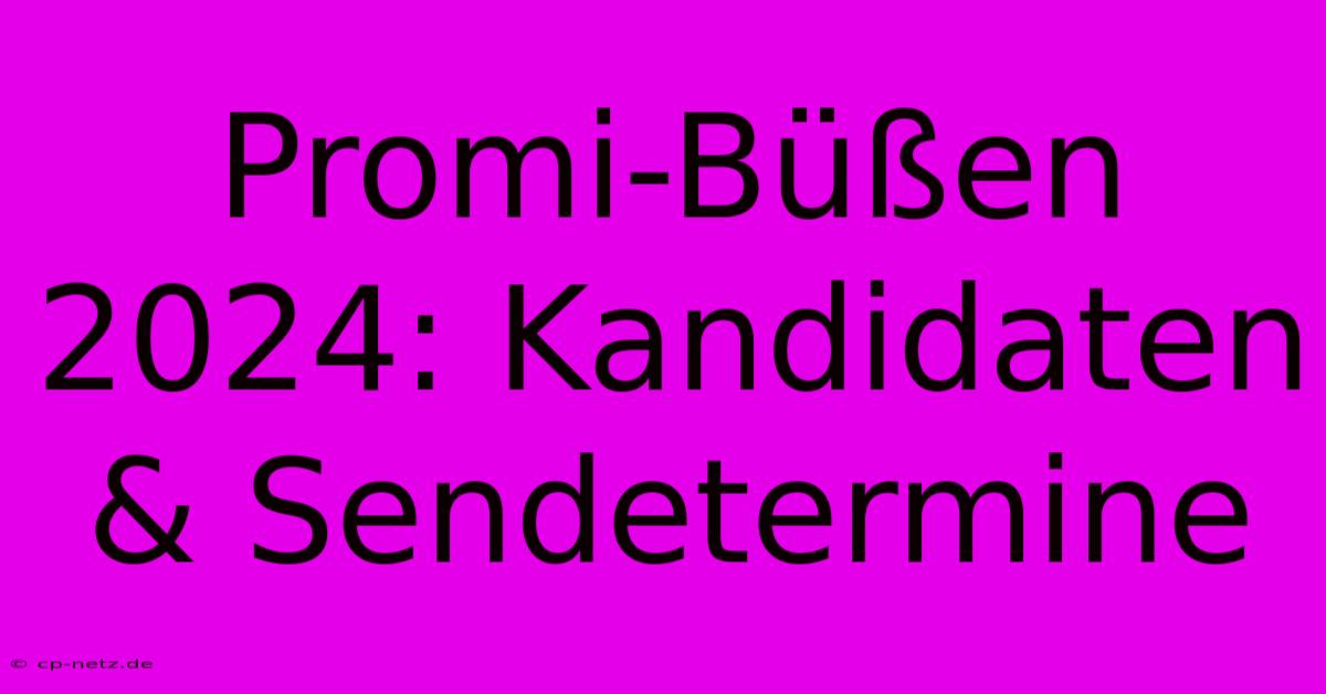 Promi-Büßen 2024: Kandidaten & Sendetermine