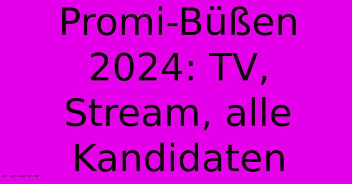 Promi-Büßen 2024: TV, Stream, Alle Kandidaten