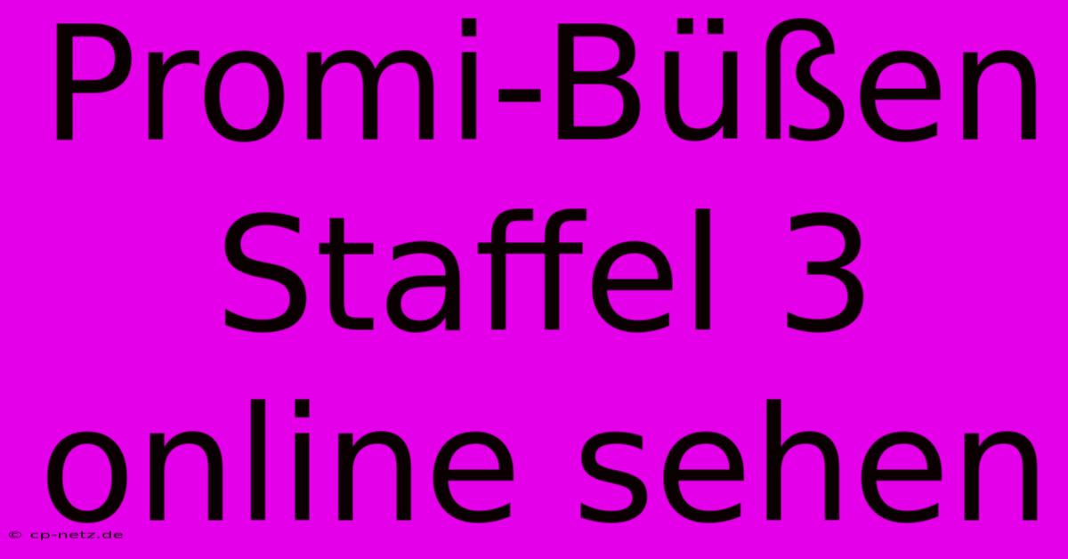 Promi-Büßen Staffel 3 Online Sehen