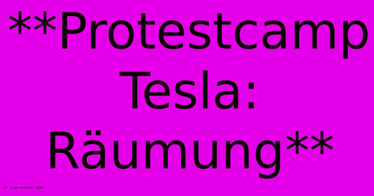 **Protestcamp Tesla: Räumung**