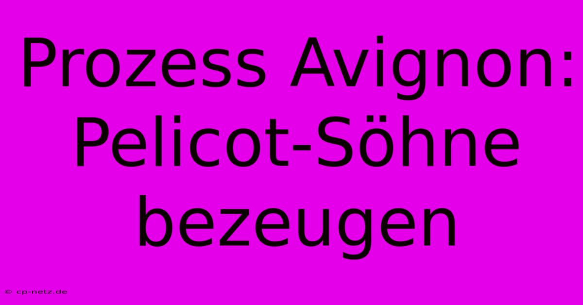 Prozess Avignon:  Pelicot-Söhne Bezeugen