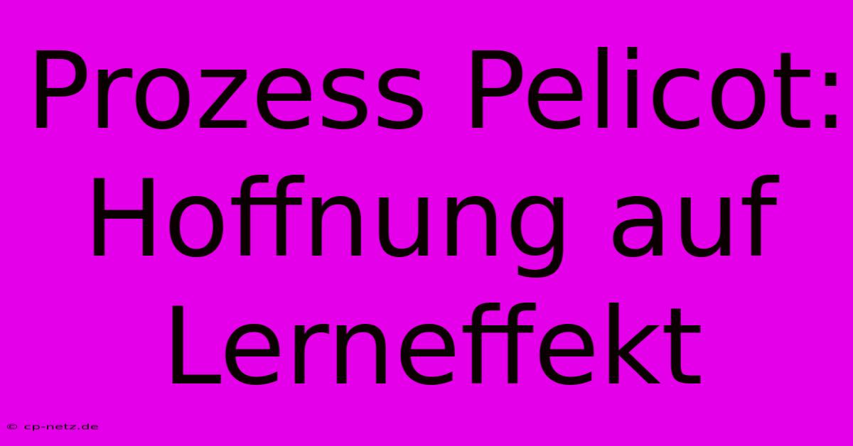 Prozess Pelicot:  Hoffnung Auf Lerneffekt