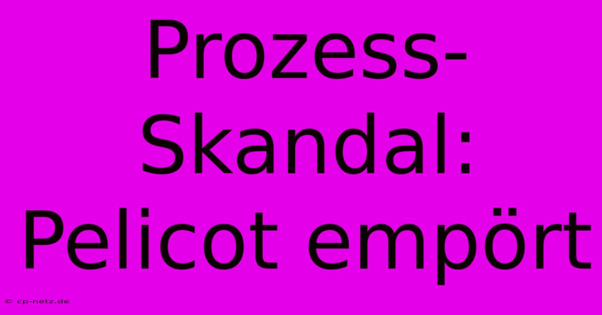 Prozess-Skandal: Pelicot Empört