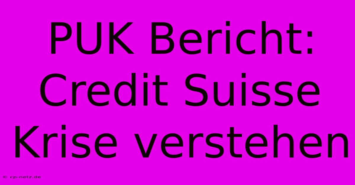 PUK Bericht:  Credit Suisse Krise Verstehen