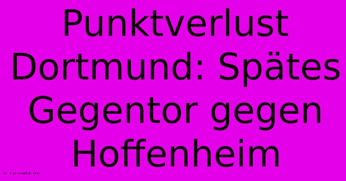 Punktverlust Dortmund: Spätes Gegentor Gegen Hoffenheim