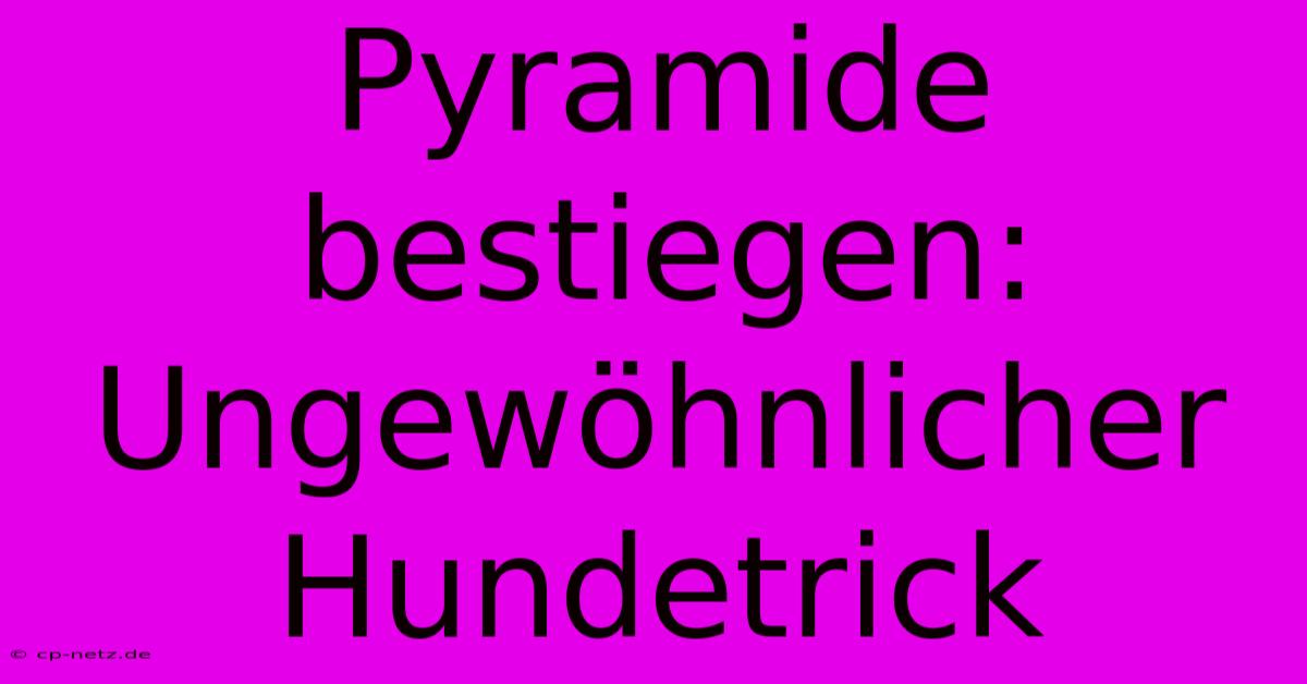 Pyramide Bestiegen: Ungewöhnlicher Hundetrick