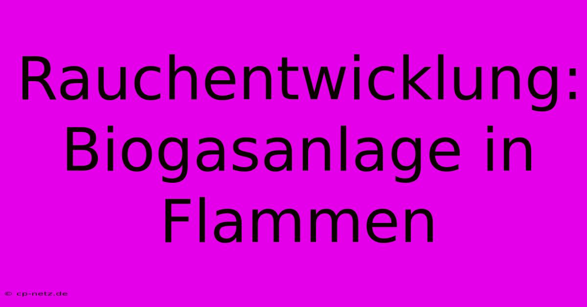 Rauchentwicklung: Biogasanlage In Flammen