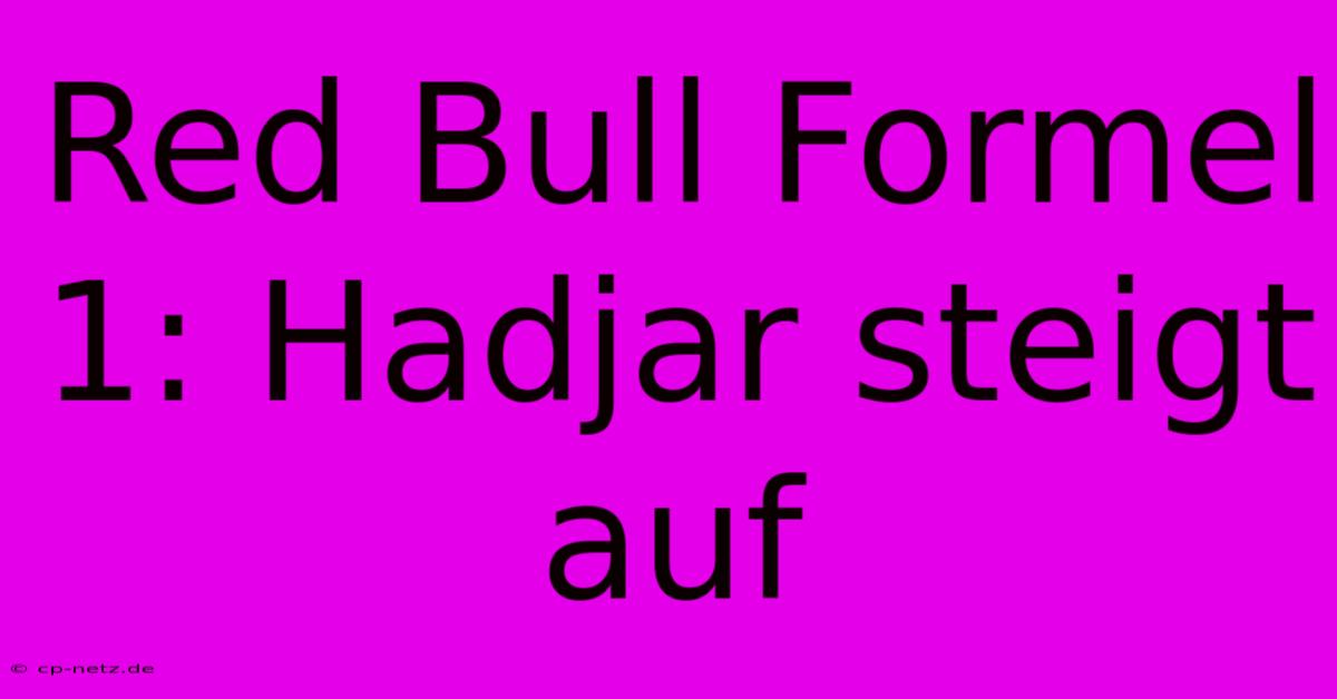 Red Bull Formel 1: Hadjar Steigt Auf