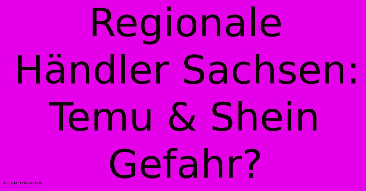 Regionale Händler Sachsen: Temu & Shein Gefahr?