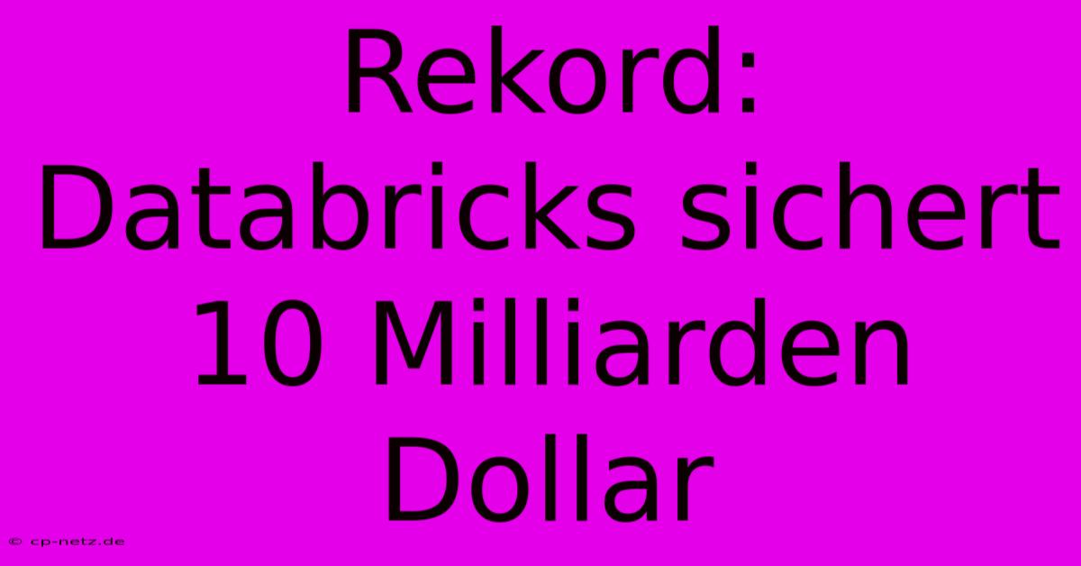 Rekord: Databricks Sichert 10 Milliarden Dollar