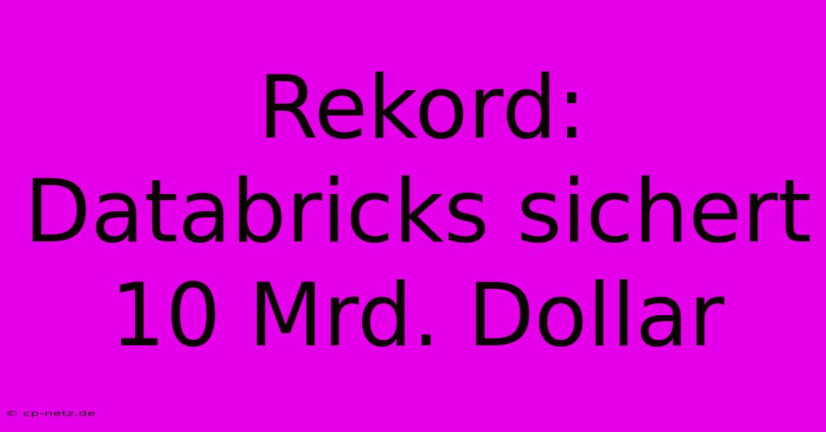 Rekord: Databricks Sichert 10 Mrd. Dollar