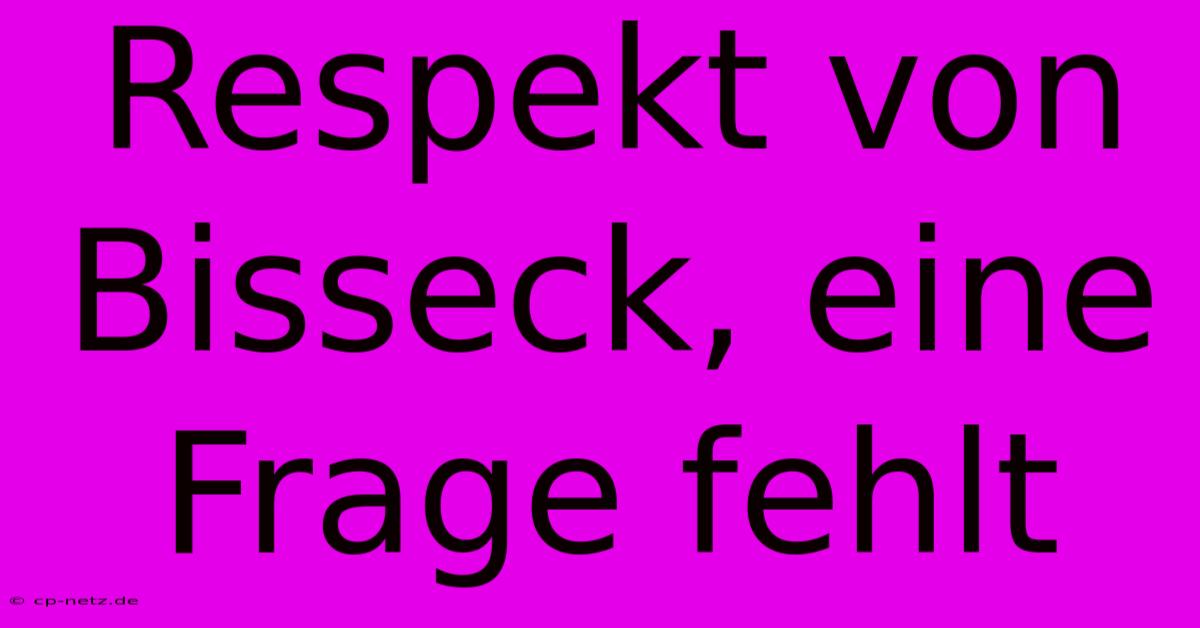 Respekt Von Bisseck, Eine Frage Fehlt