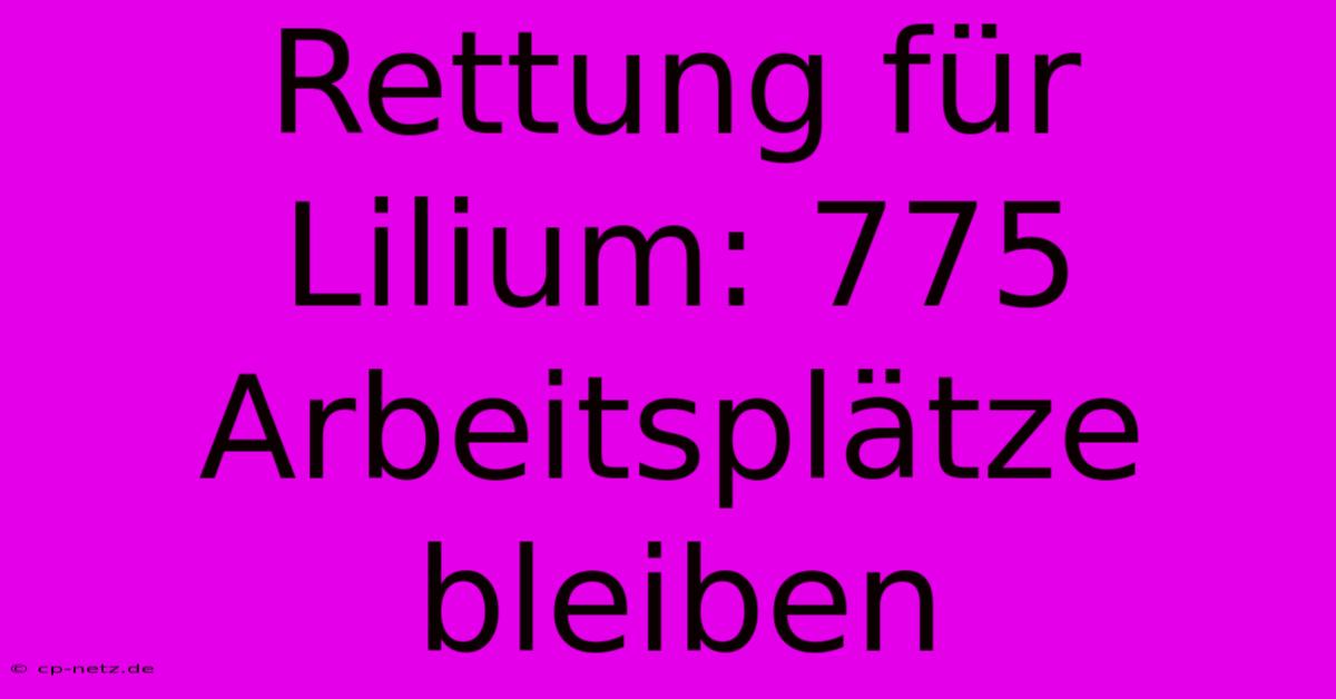 Rettung Für Lilium: 775 Arbeitsplätze Bleiben