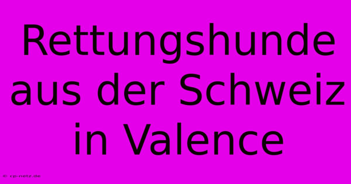 Rettungshunde Aus Der Schweiz In Valence