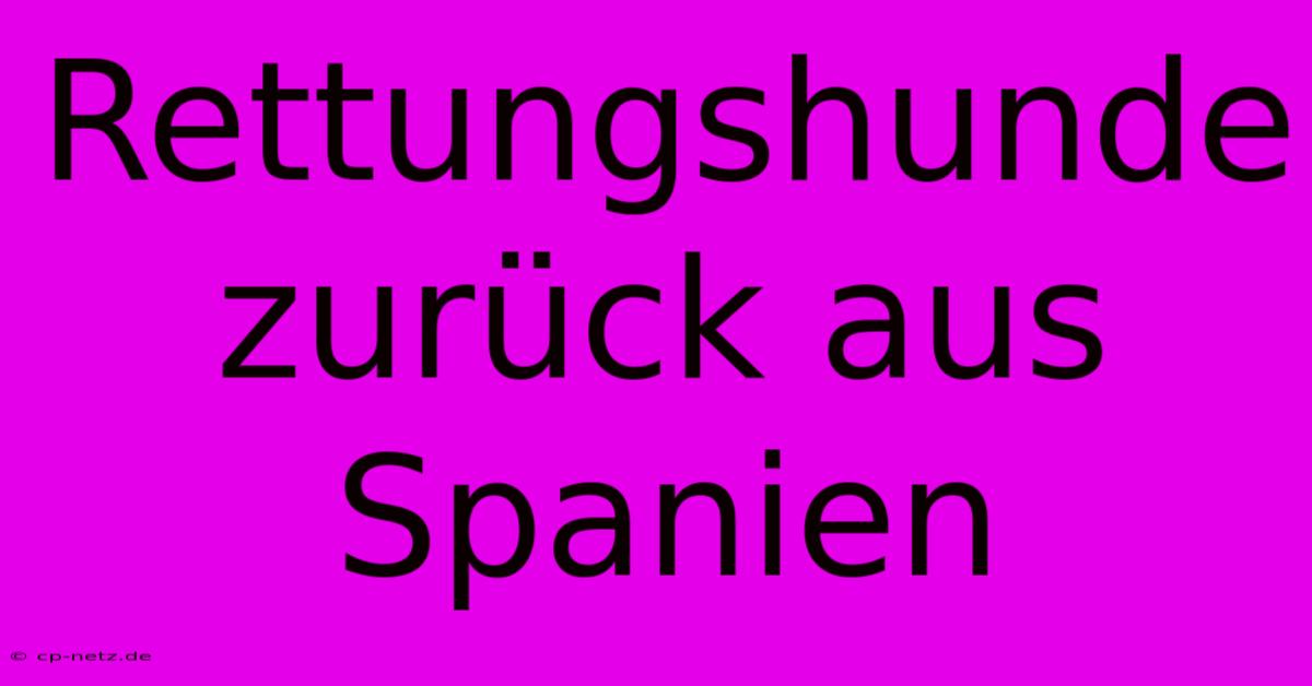 Rettungshunde Zurück Aus Spanien