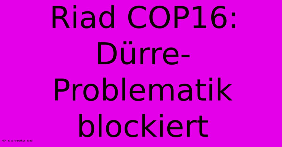 Riad COP16: Dürre-Problematik Blockiert