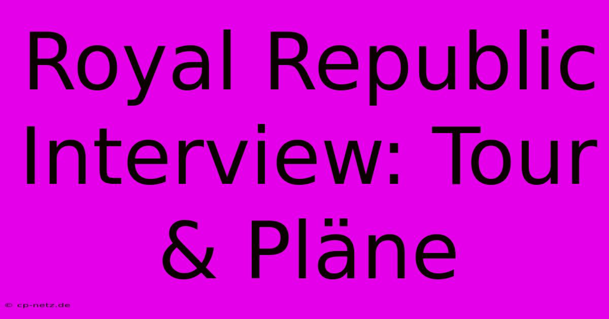 Royal Republic Interview: Tour & Pläne