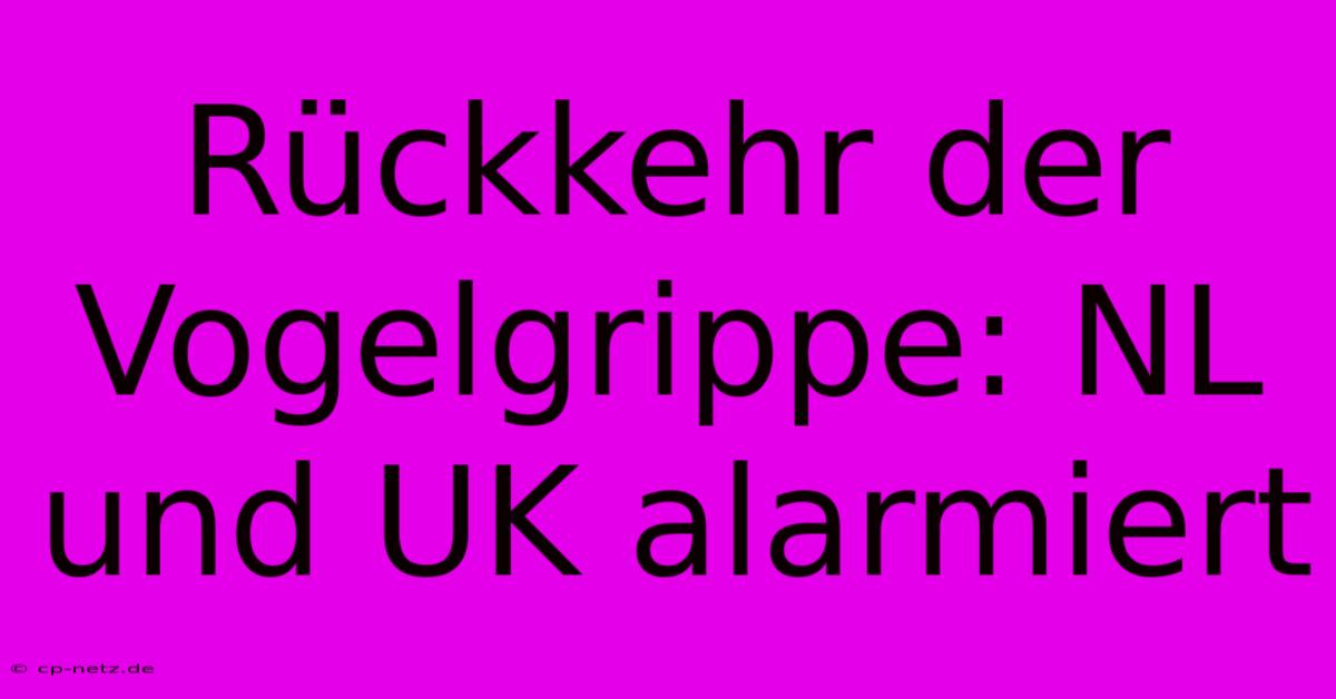 Rückkehr Der Vogelgrippe: NL Und UK Alarmiert