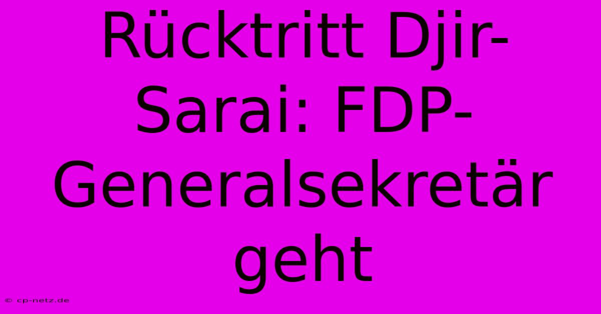 Rücktritt Djir-Sarai: FDP-Generalsekretär Geht