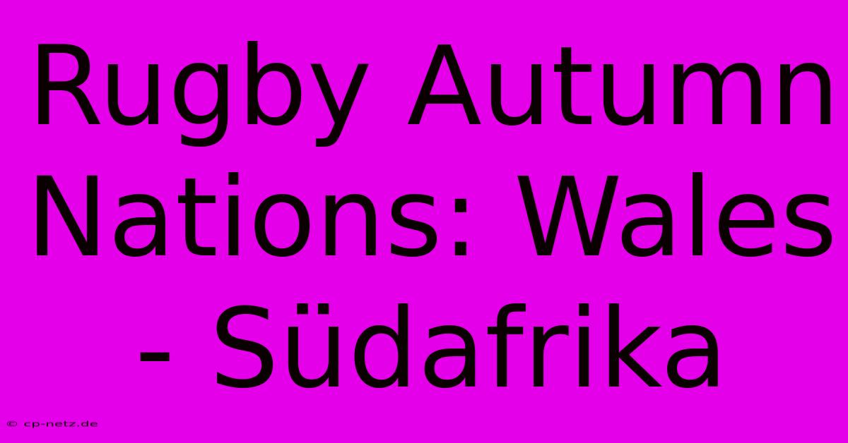 Rugby Autumn Nations: Wales - Südafrika