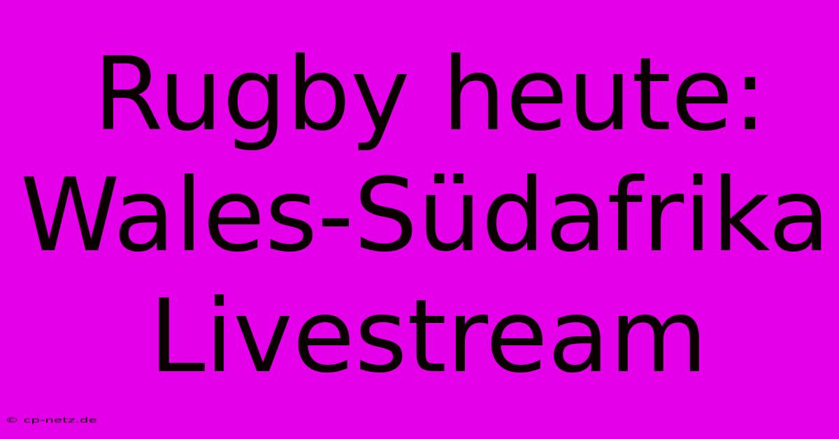 Rugby Heute: Wales-Südafrika Livestream