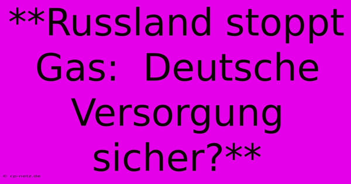 **Russland Stoppt Gas:  Deutsche Versorgung Sicher?**