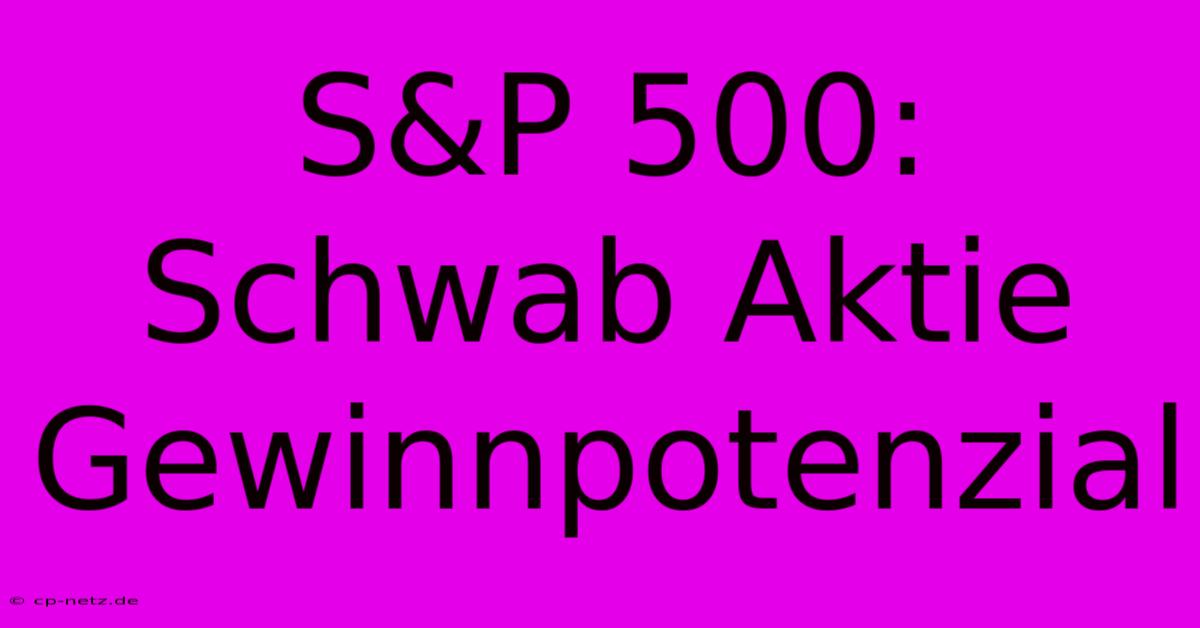 S&P 500: Schwab Aktie Gewinnpotenzial