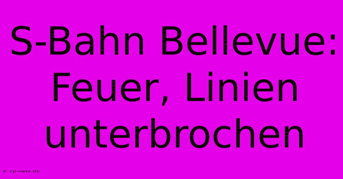 S-Bahn Bellevue: Feuer, Linien Unterbrochen