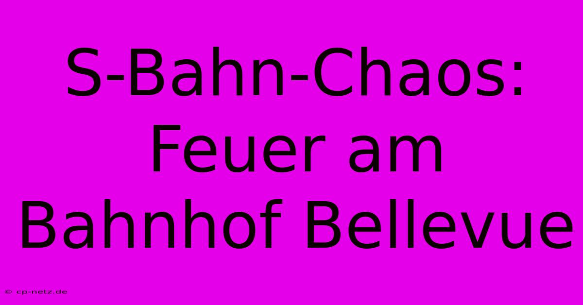 S-Bahn-Chaos: Feuer Am Bahnhof Bellevue