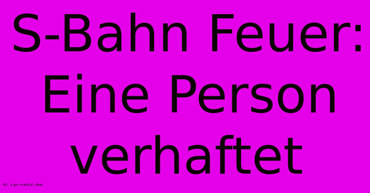 S-Bahn Feuer: Eine Person Verhaftet