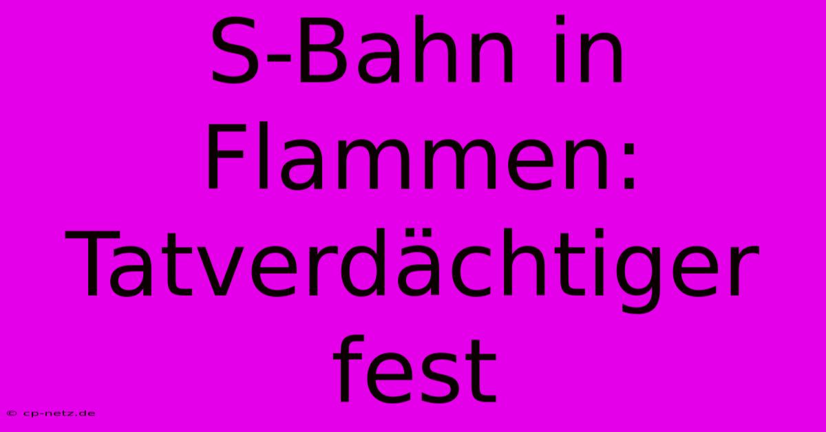 S-Bahn In Flammen: Tatverdächtiger Fest