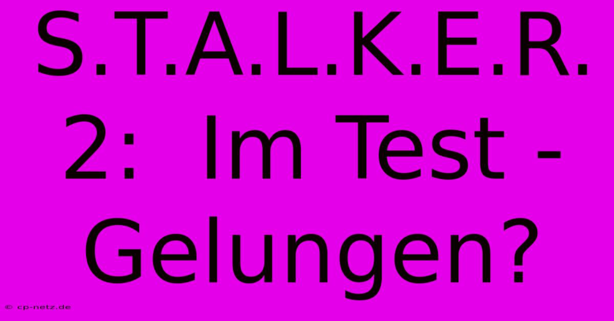 S.T.A.L.K.E.R. 2:  Im Test -  Gelungen?