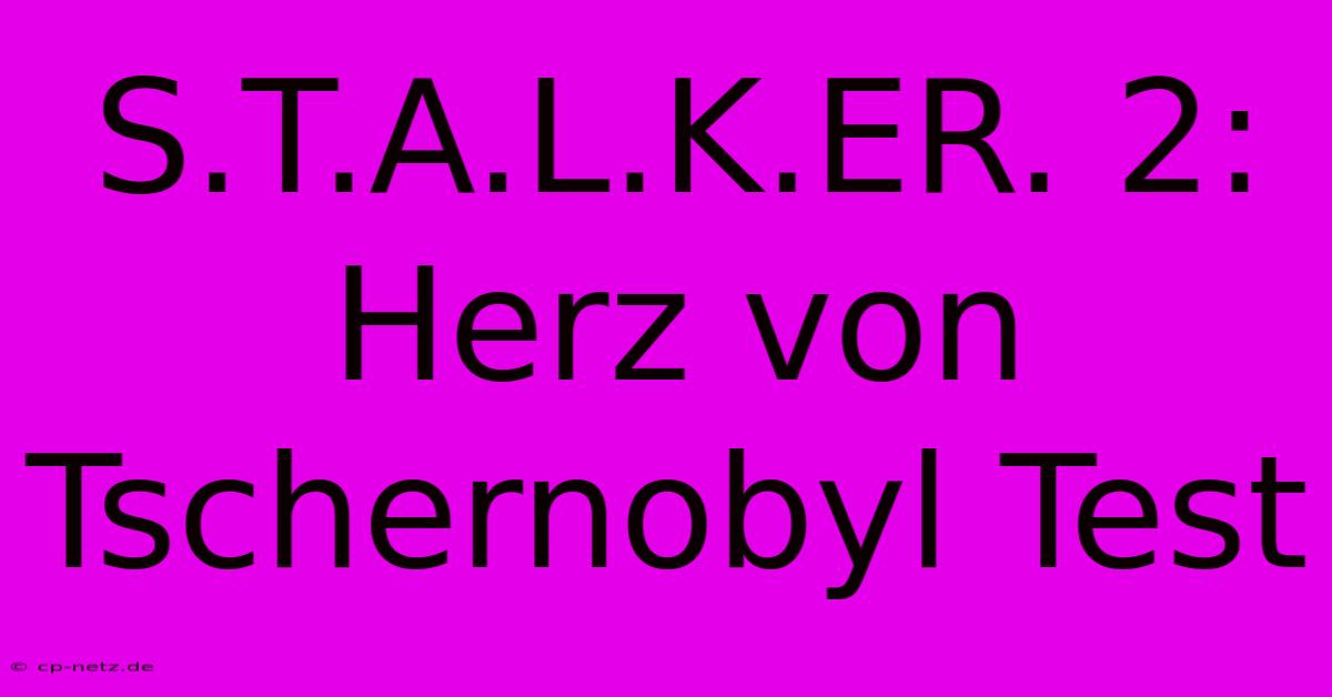 S.T.A.L.K.ER. 2: Herz Von Tschernobyl Test