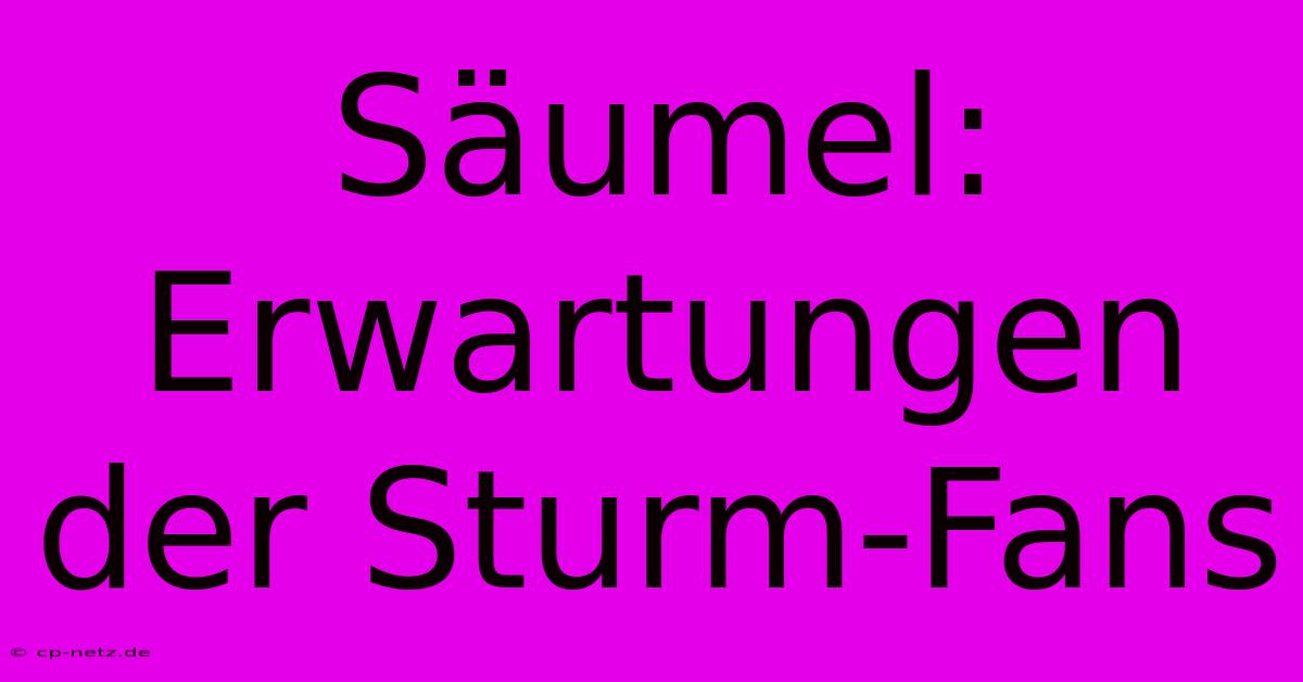 Säumel: Erwartungen Der Sturm-Fans