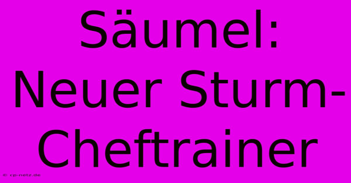 Säumel: Neuer Sturm-Cheftrainer