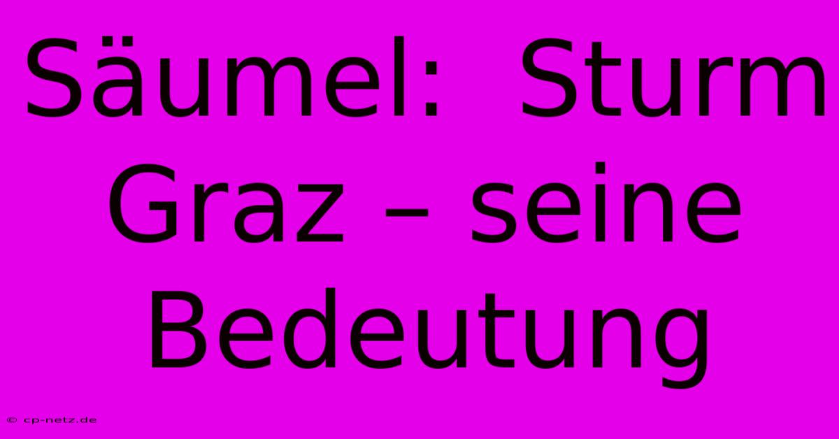 Säumel:  Sturm Graz – Seine Bedeutung