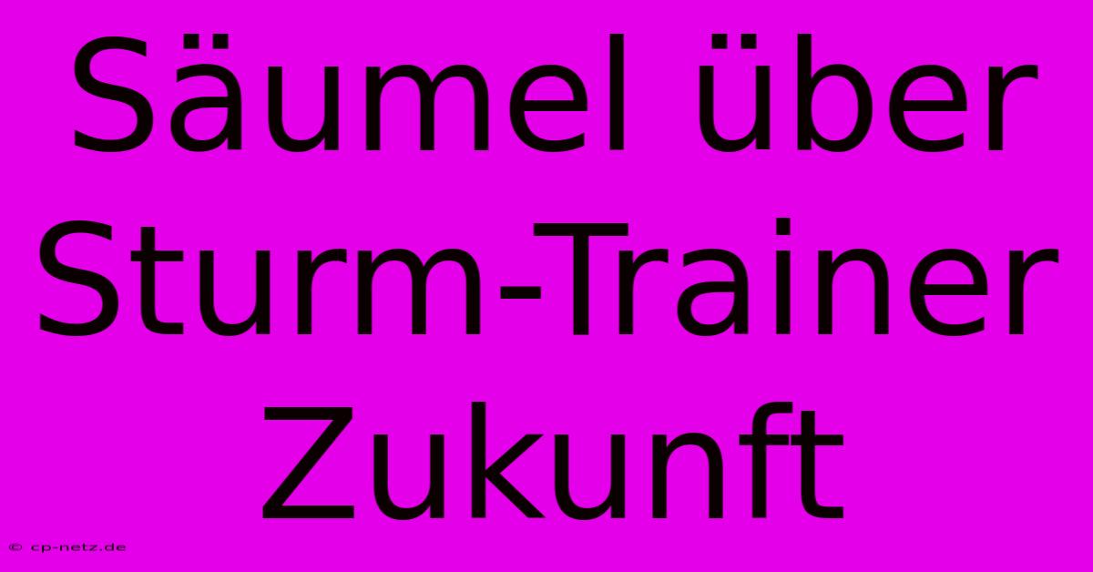 Säumel Über Sturm-Trainer Zukunft