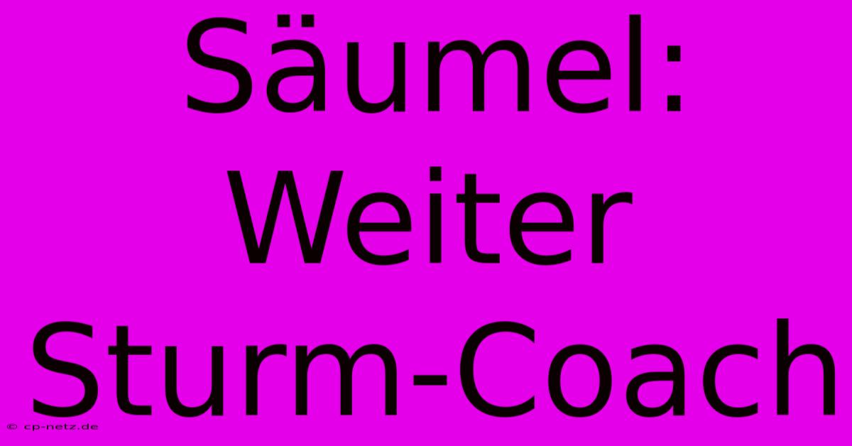 Säumel: Weiter Sturm-Coach