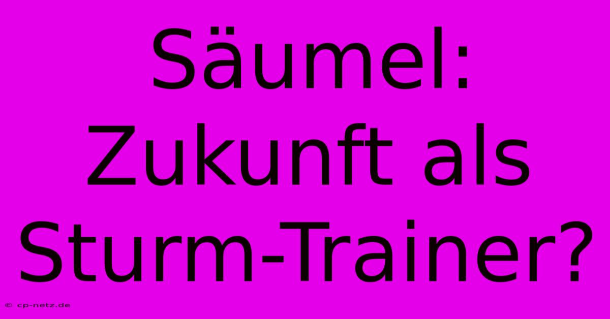 Säumel: Zukunft Als Sturm-Trainer?