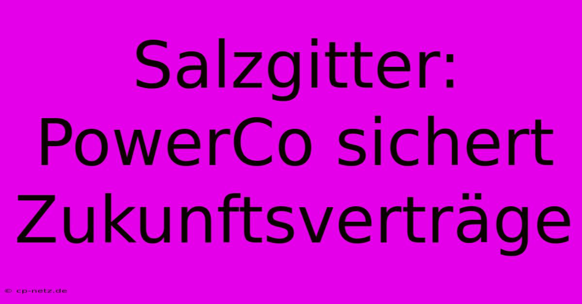 Salzgitter: PowerCo Sichert Zukunftsverträge