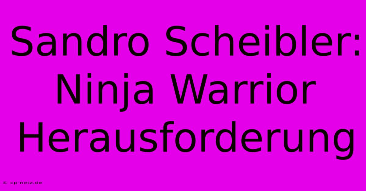 Sandro Scheibler: Ninja Warrior Herausforderung