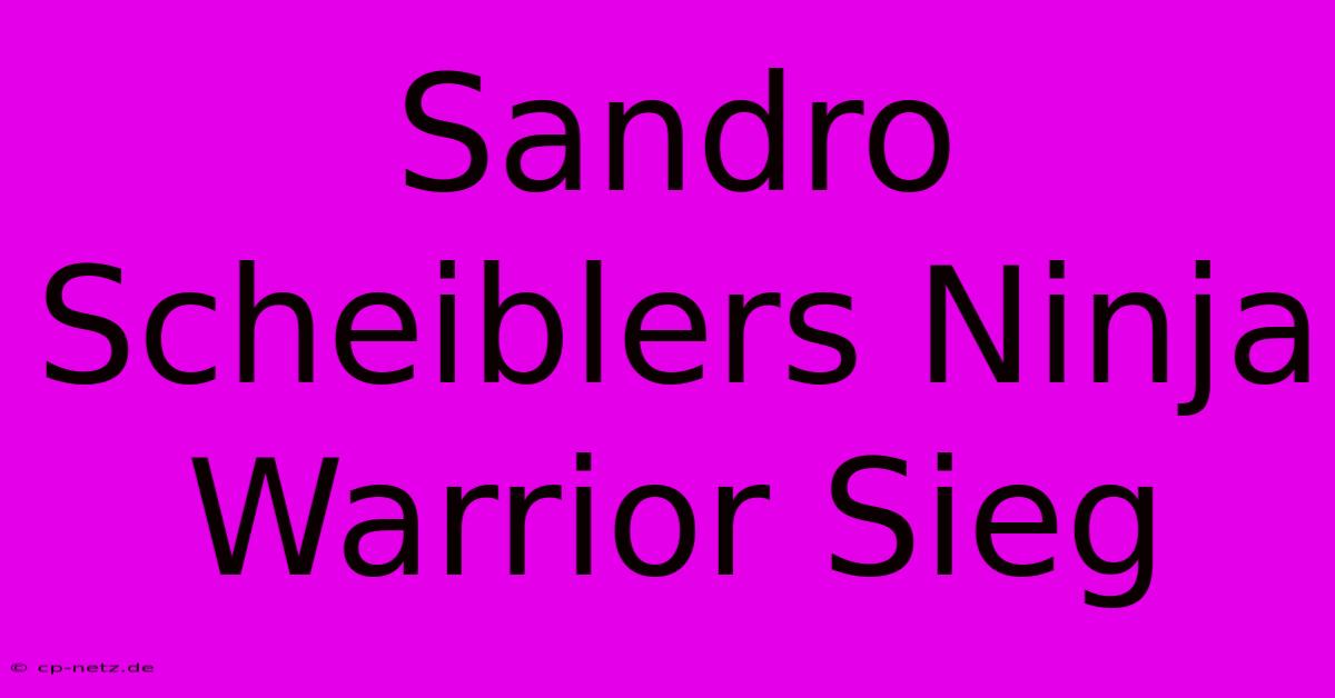 Sandro Scheiblers Ninja Warrior Sieg