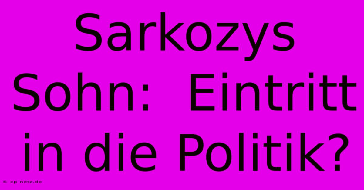 Sarkozys Sohn:  Eintritt In Die Politik?